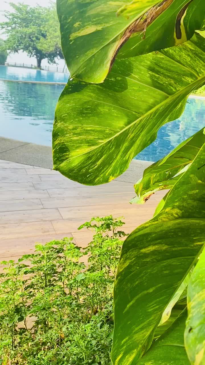 Video review of Terraza at Balai Isabel