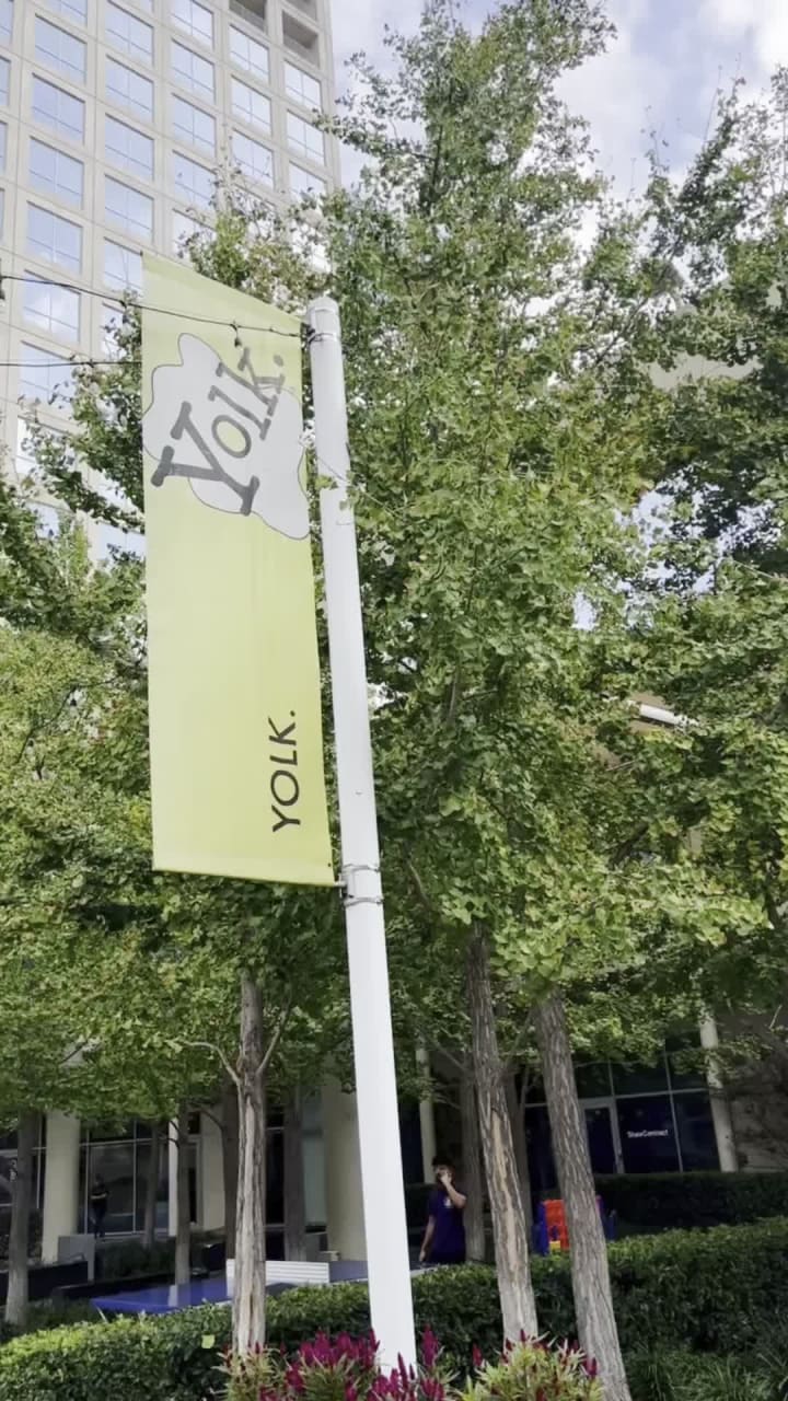 Video review of Yolk