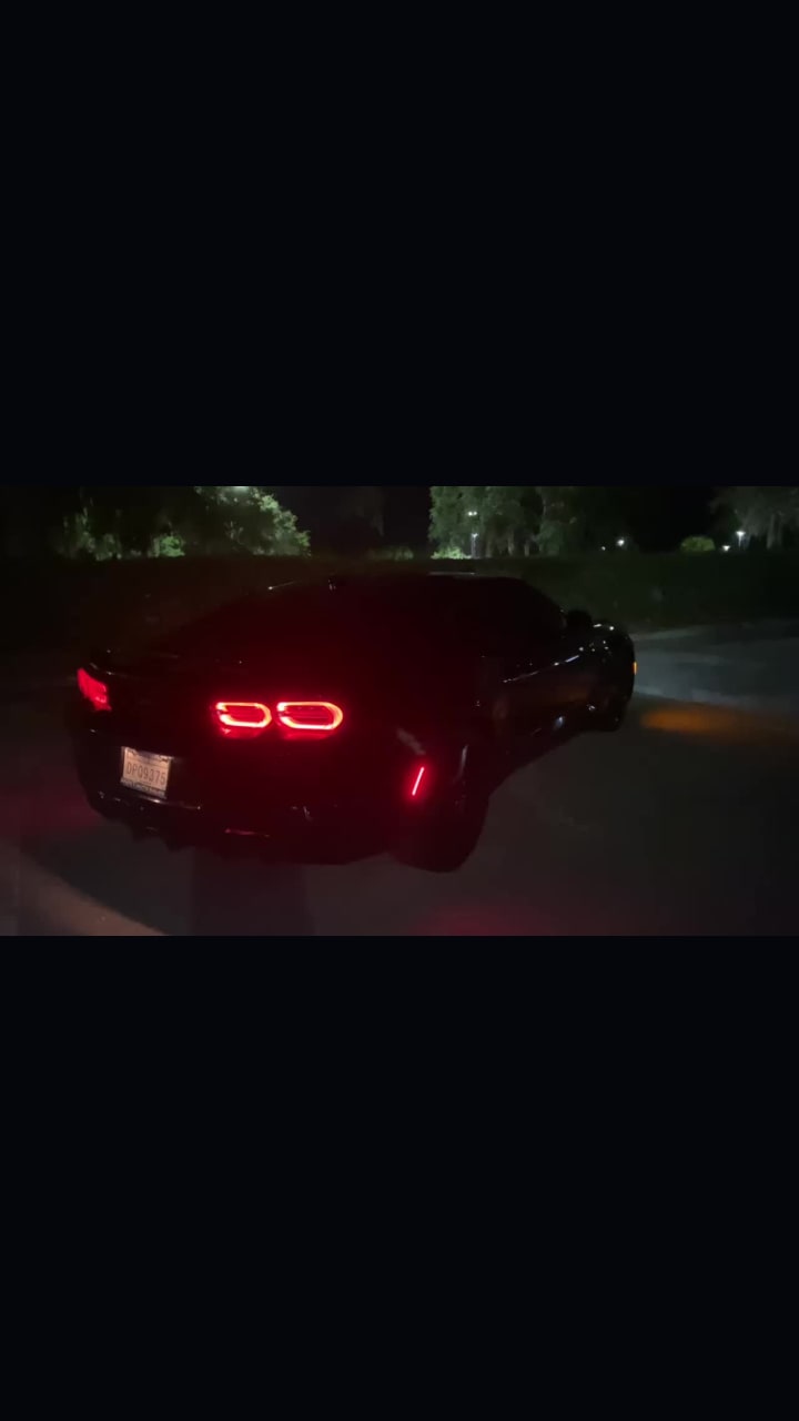 Video review of If I Ran The Zoo