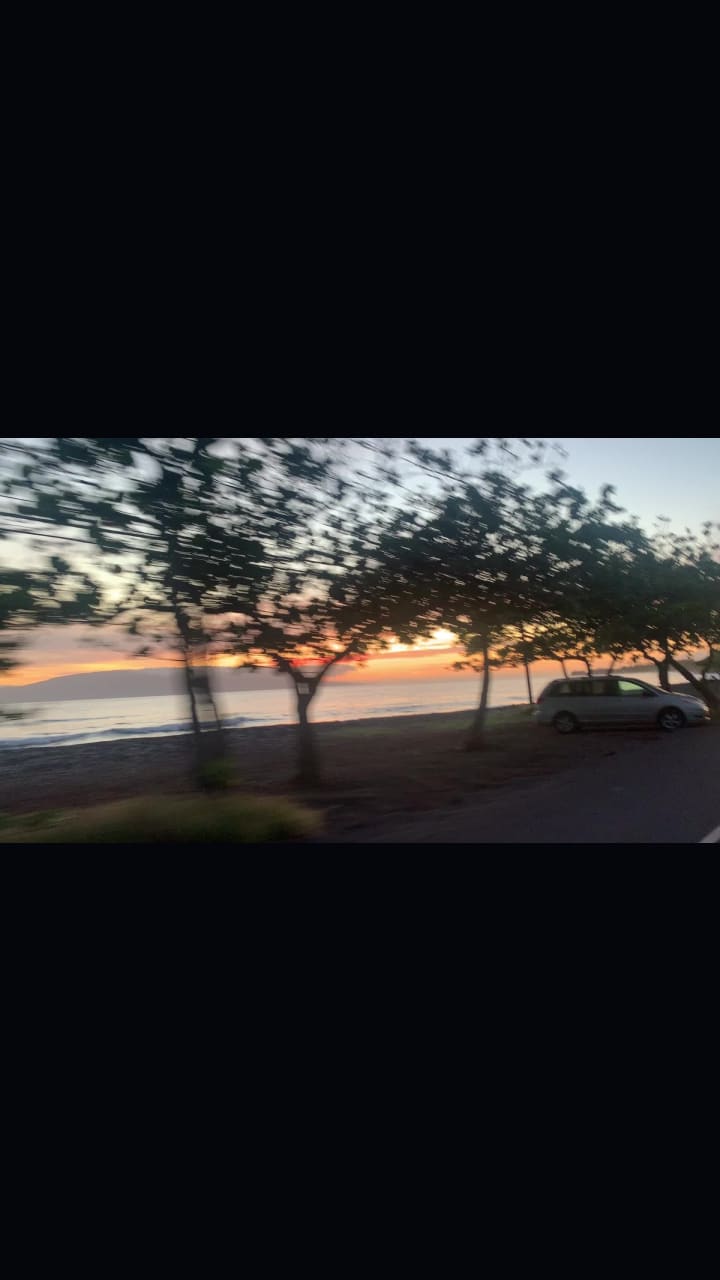 Video review of Olowalu Juice Stand