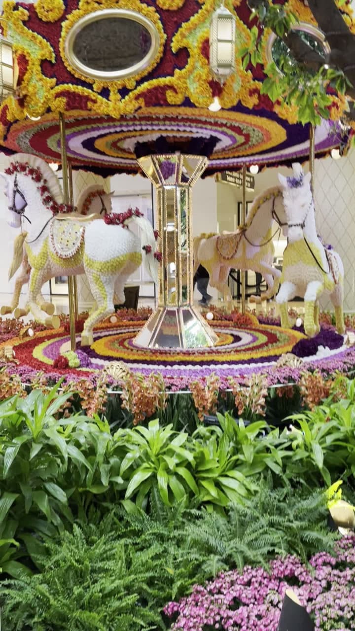 Video review of The Cafe At The Wynn