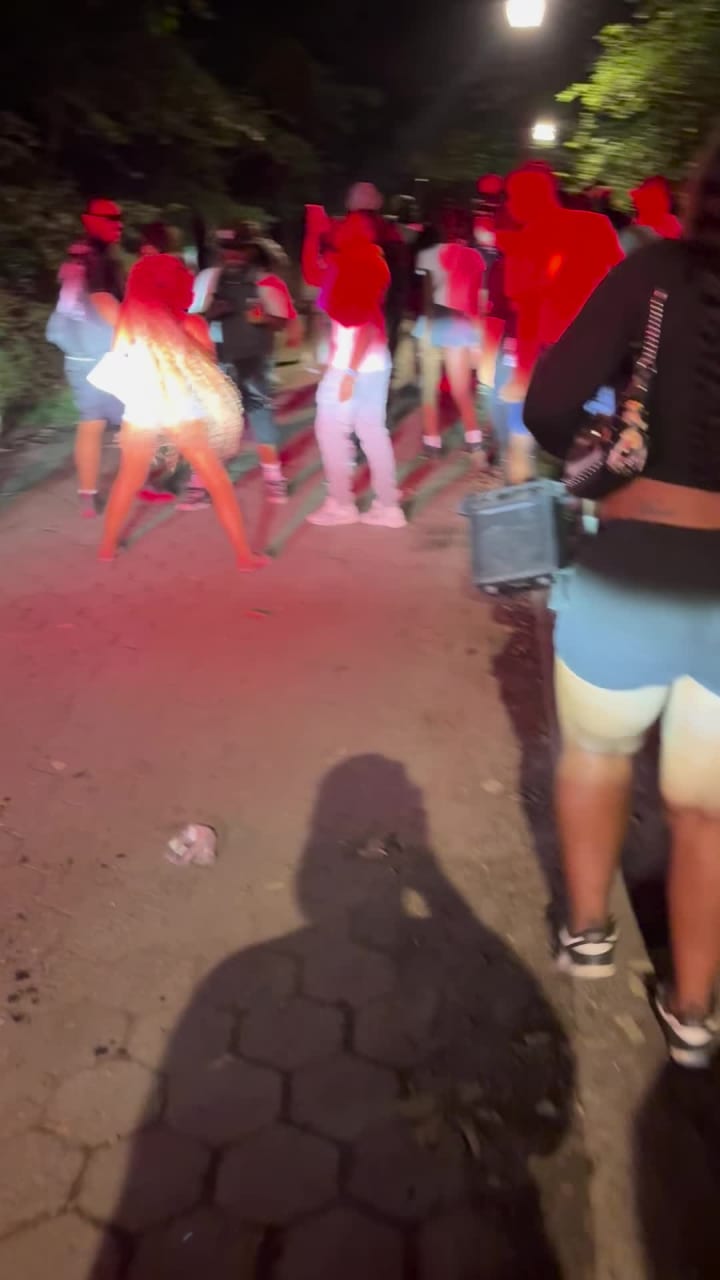 Video review of Winner In the Park