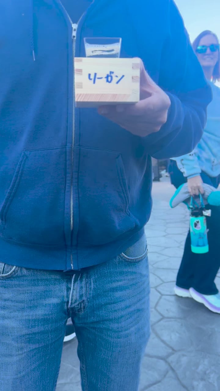 Video review of Japan Pavilion