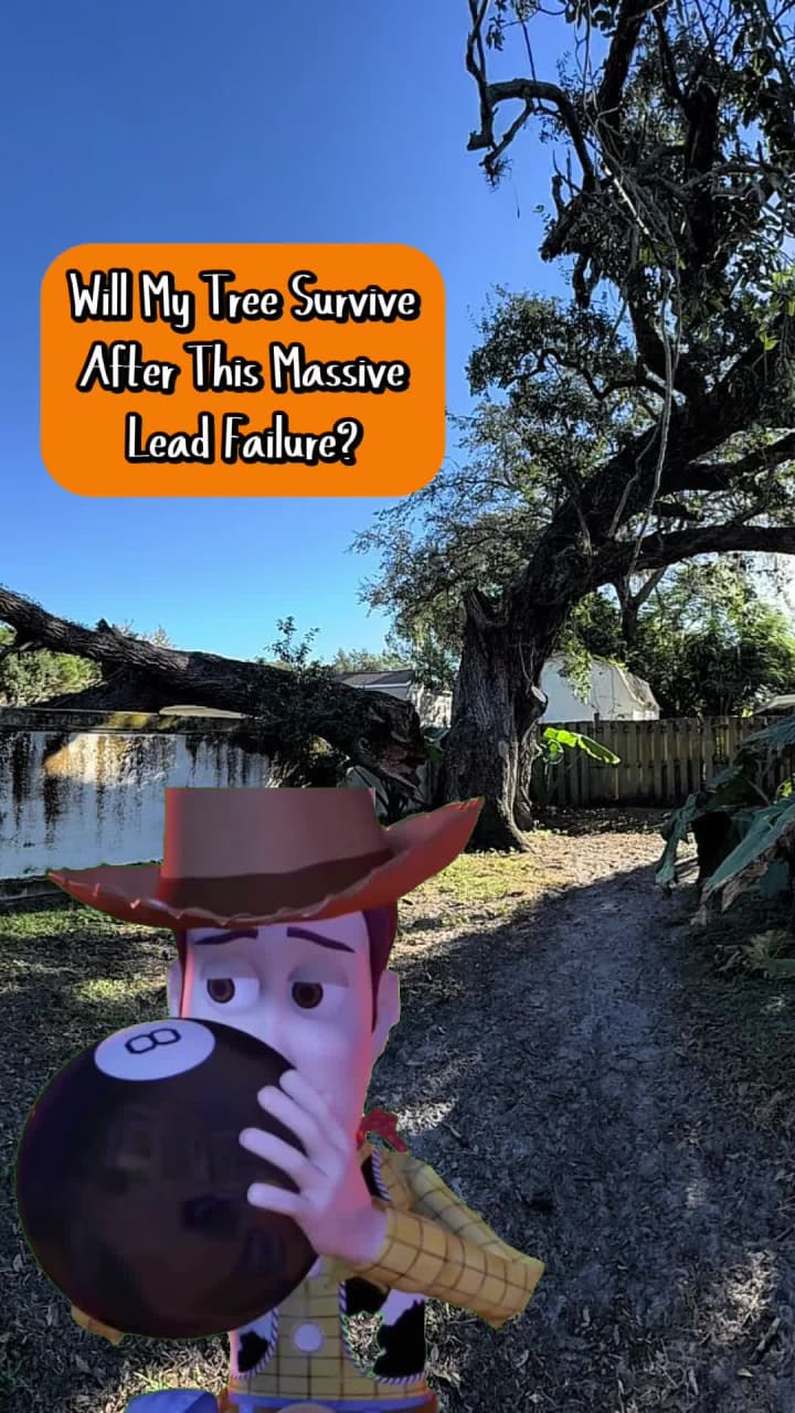 All Your Way Lawn, Tree, and Property Maintenance