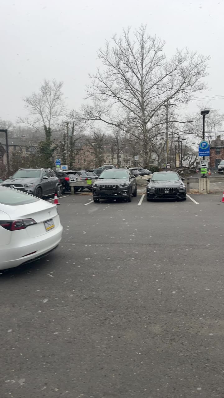 Video review of Stella