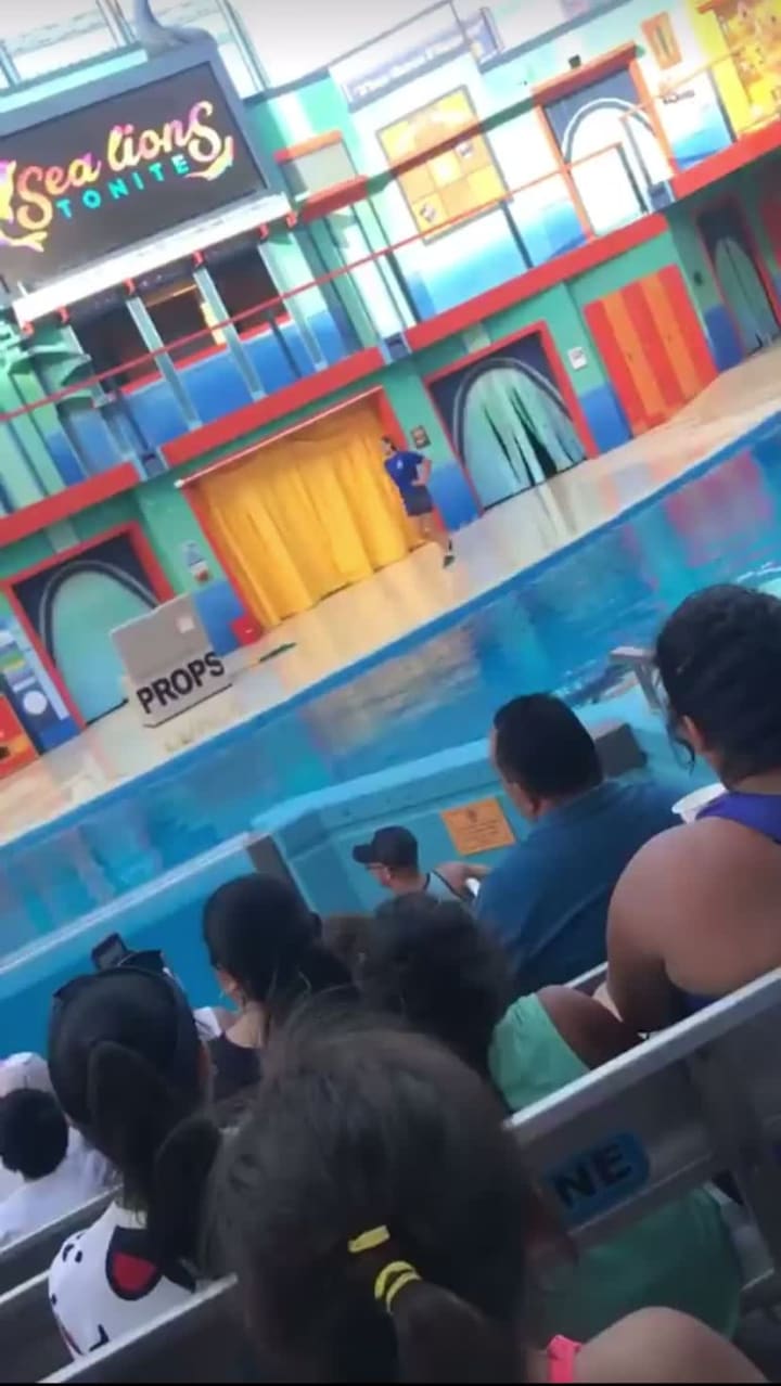 SeaWorld San Antonio