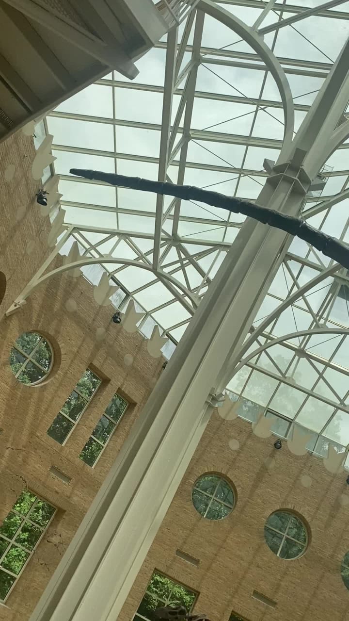 Fernbank Museum | 3D Theater | Forest