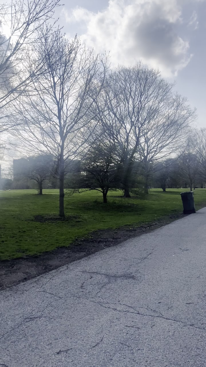 Promontory Point Park