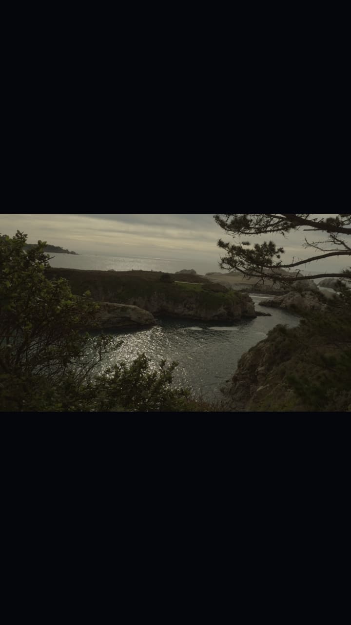 Video review of Point Lobos State Reserve