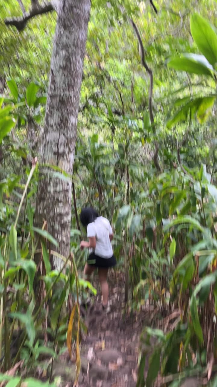 Video review of Iao Valley - Kepaniwai