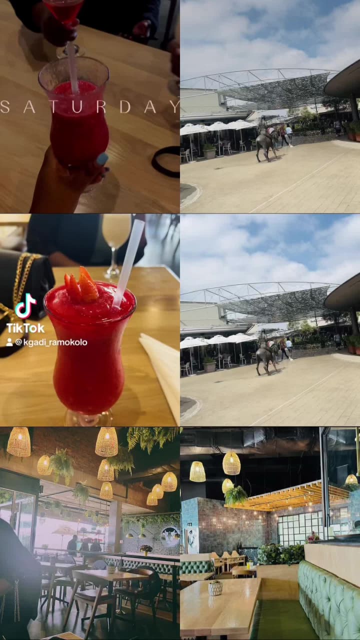 Video review of Cowfish