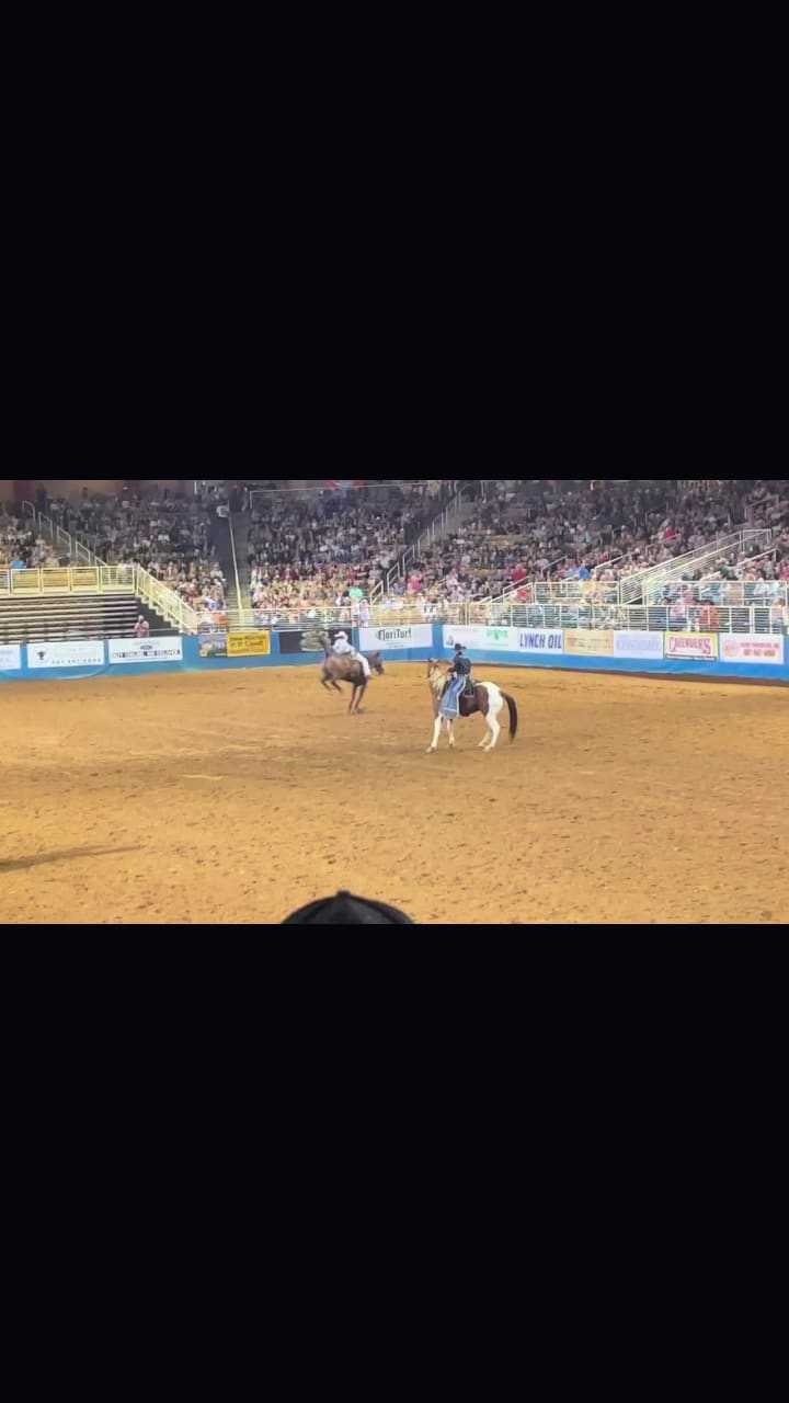 Video review of Silver Spurs Arena