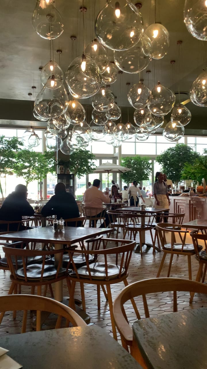 Video review of tashas Cafe