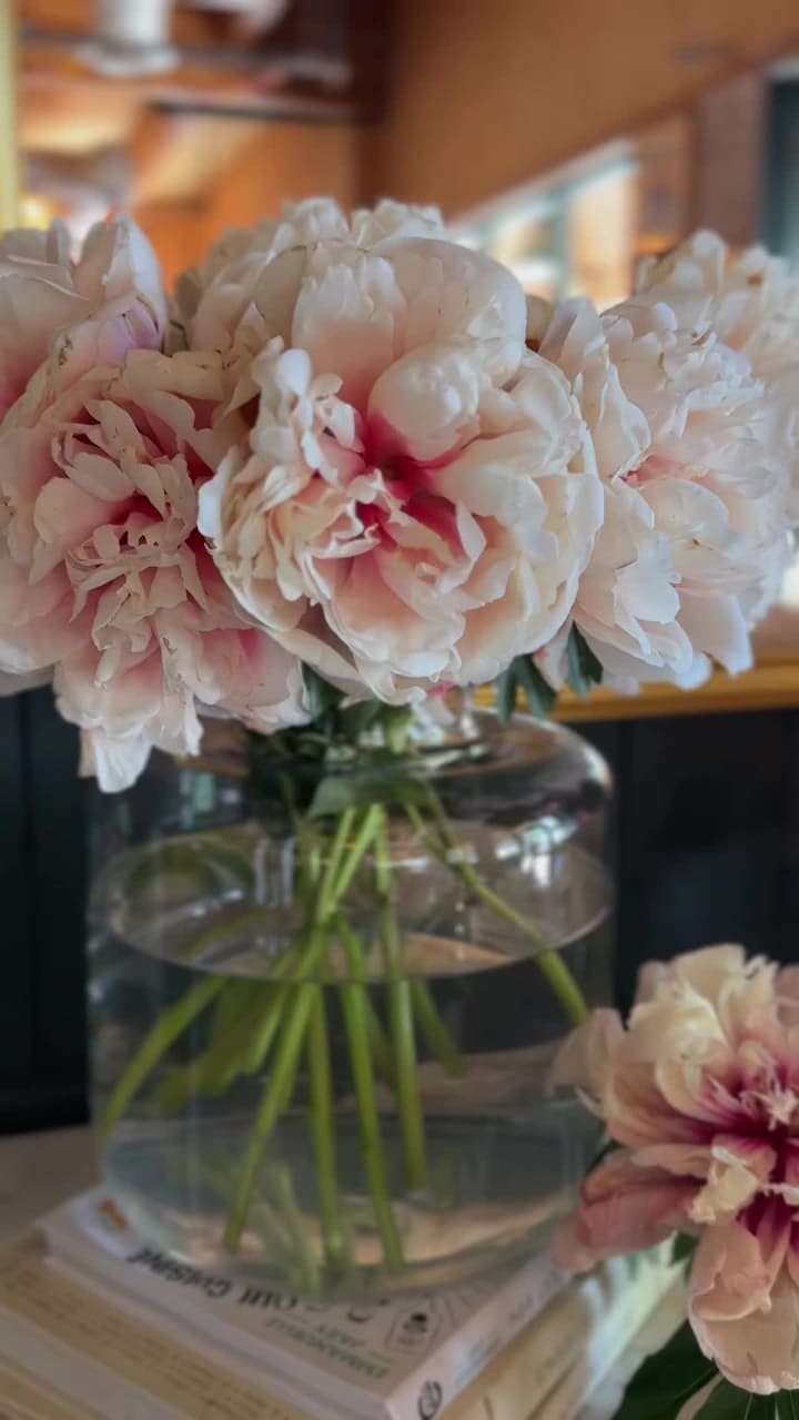 Jeannot's Patisserie & Bistro