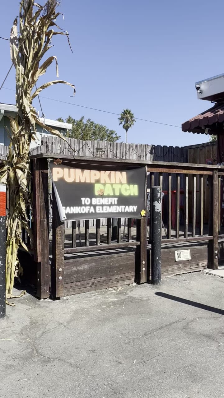 Video review of Nick's Pizza