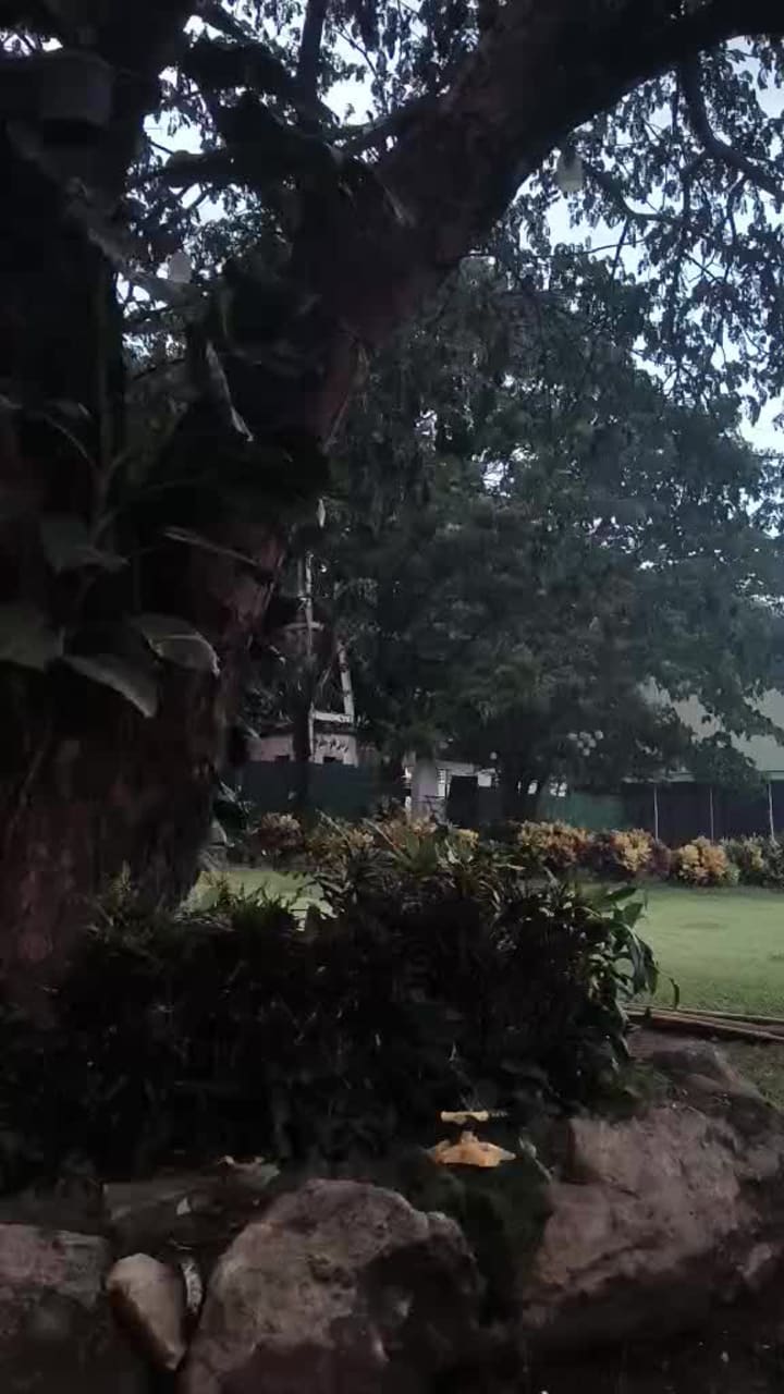 TANAY, TRIBE OF JUDAH