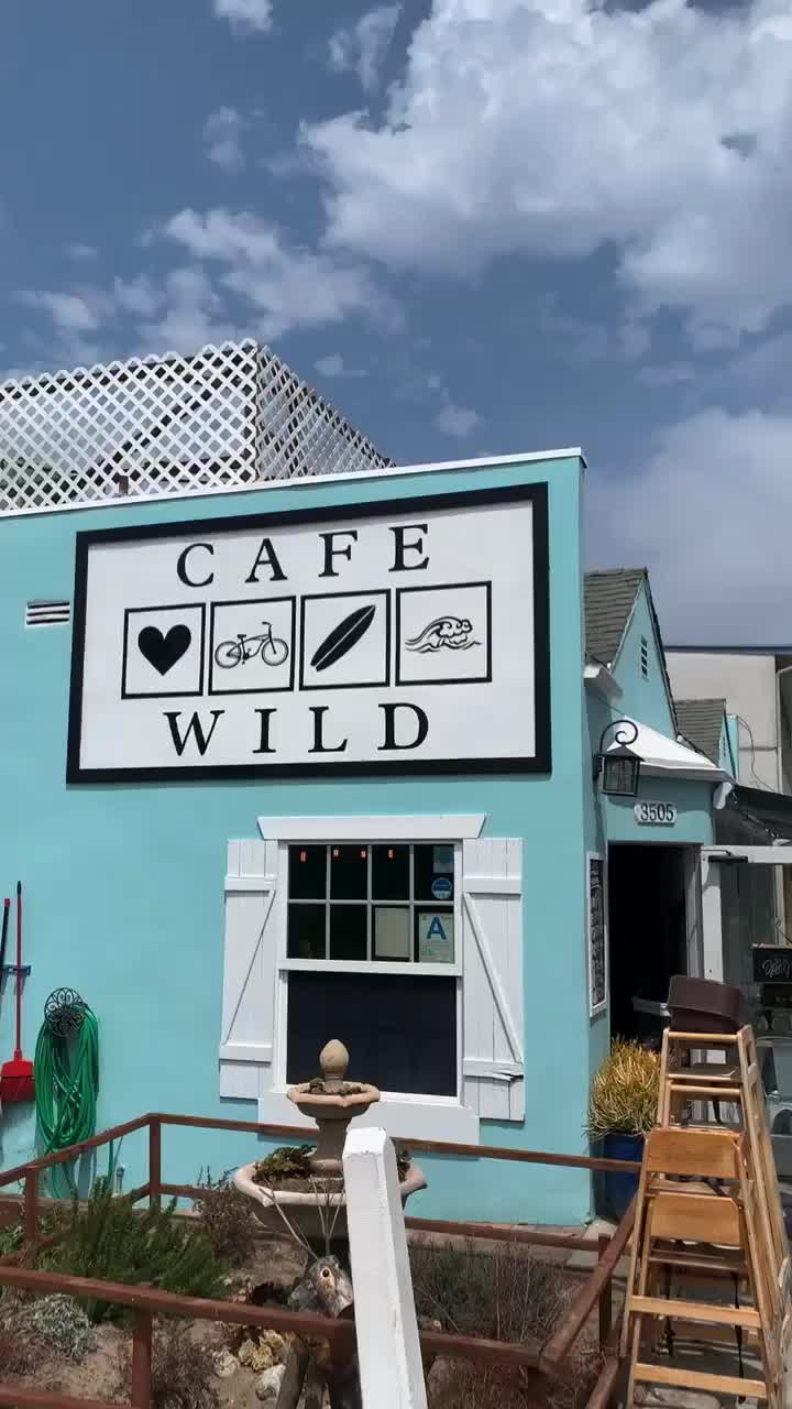 Video review of Cafe Wild
