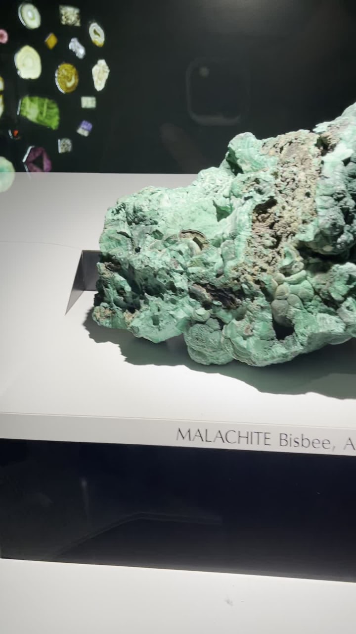 Video review of Carnegie Museum of Natural History