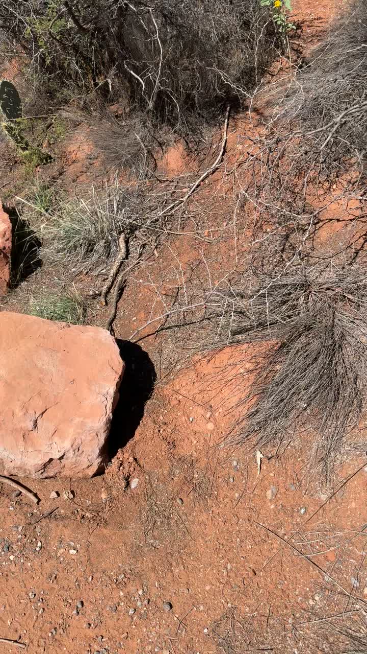 Video review of Chapel of the Holy Cross