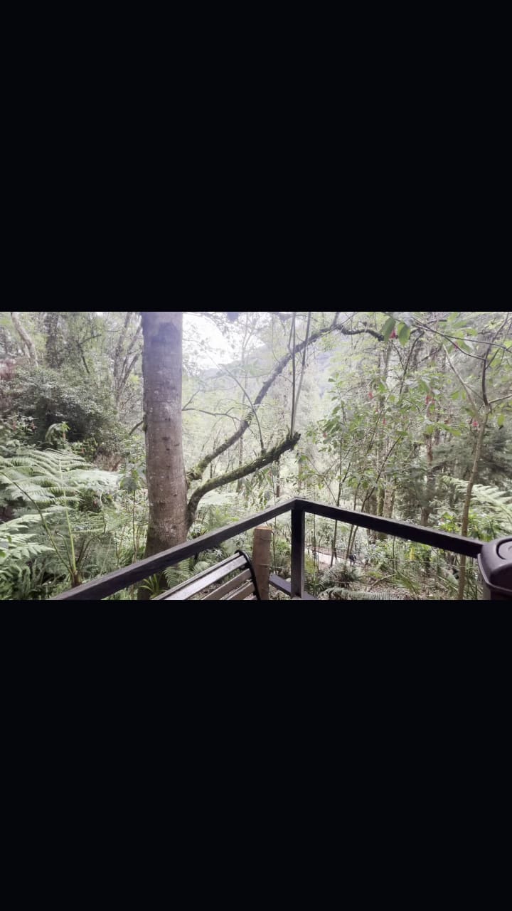 Termales Los Volcanes