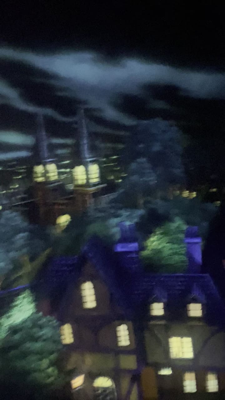 Video review of Peter Pan's Flight