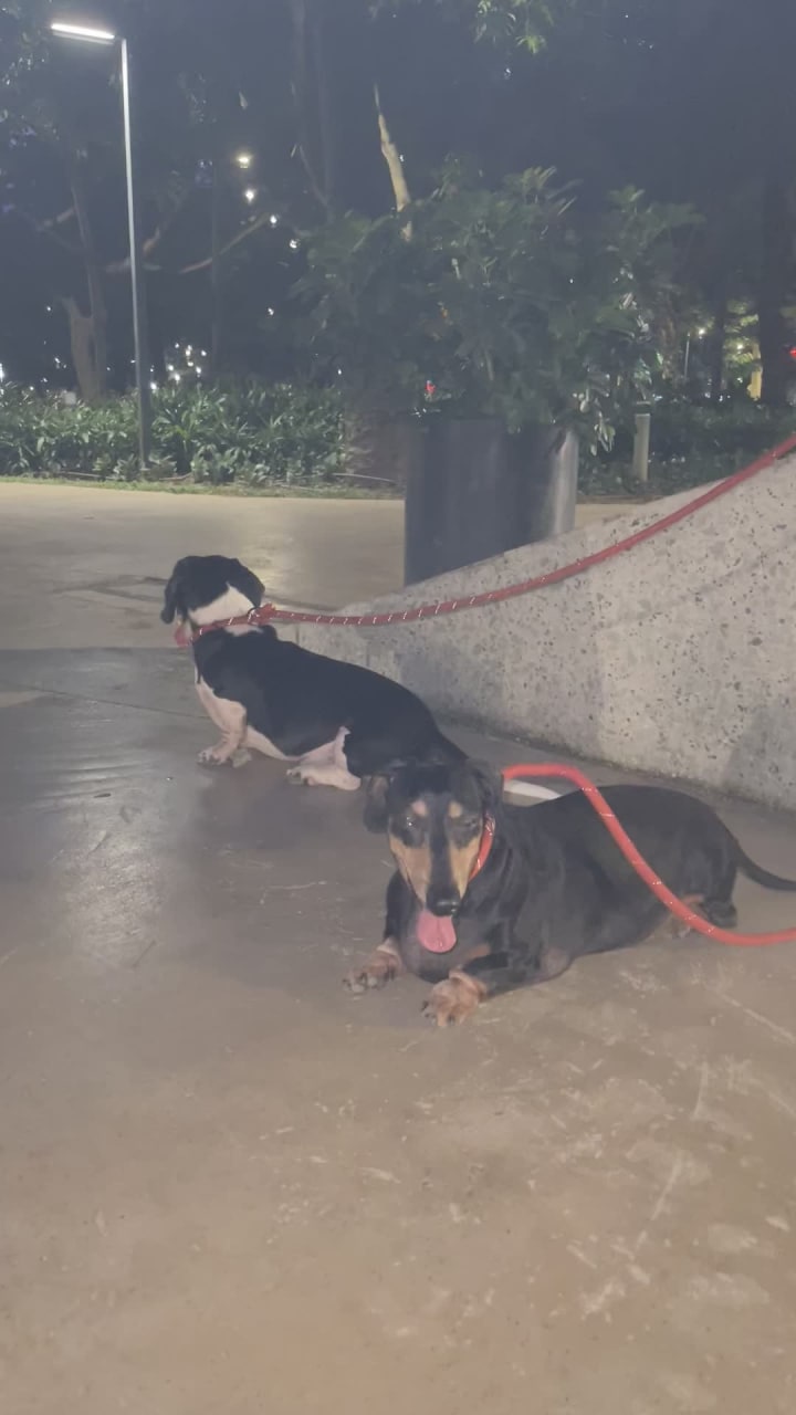 Ayala Triangle Runner's Track