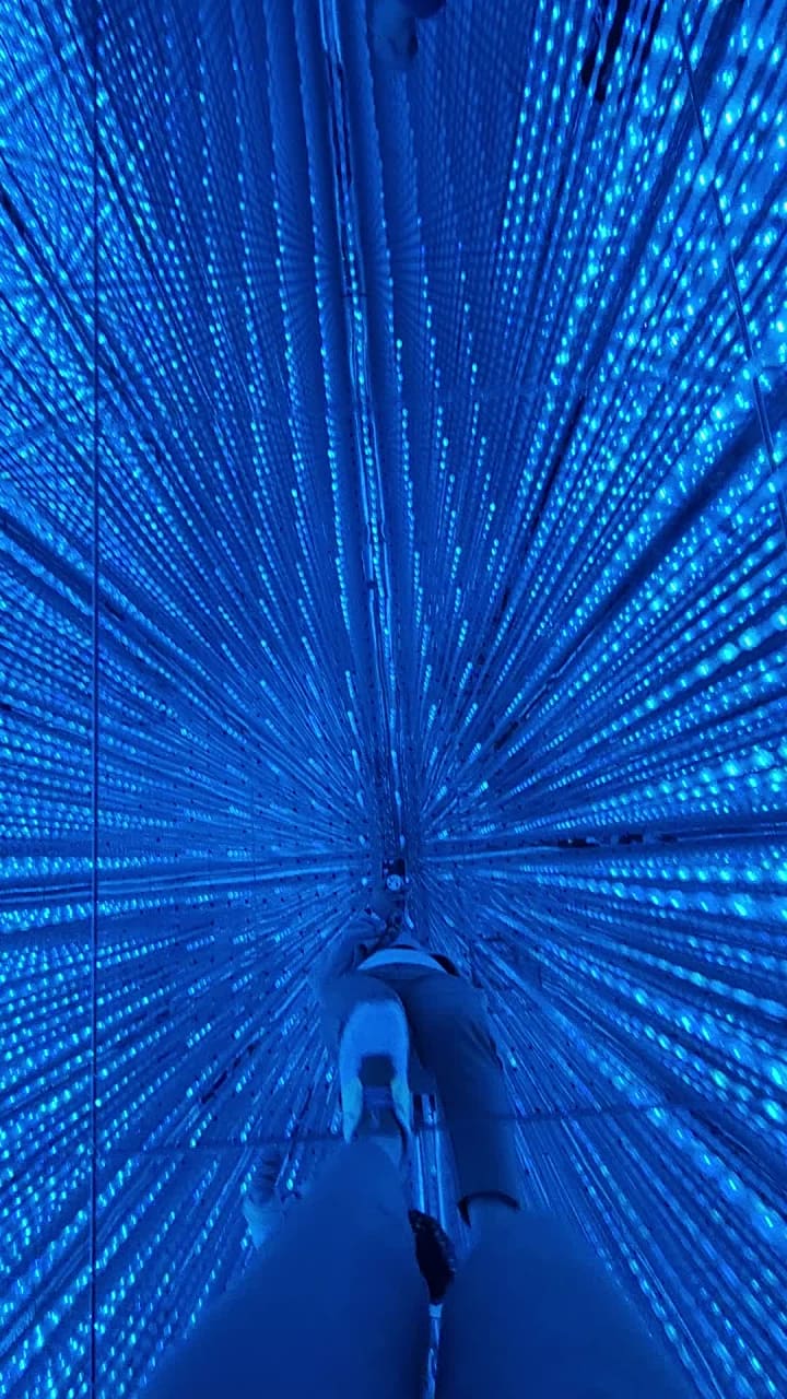 teamLab Borderless (チームラボボーダレス)