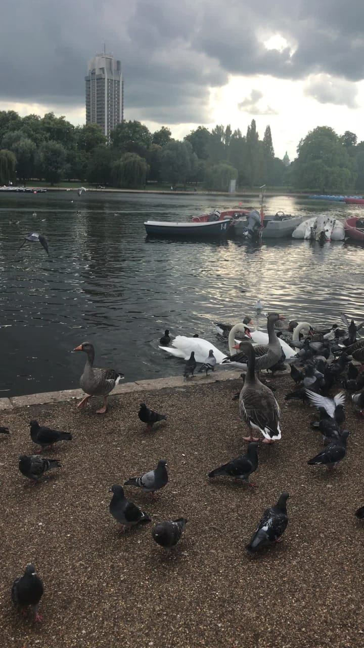 Video review of Hyde Park