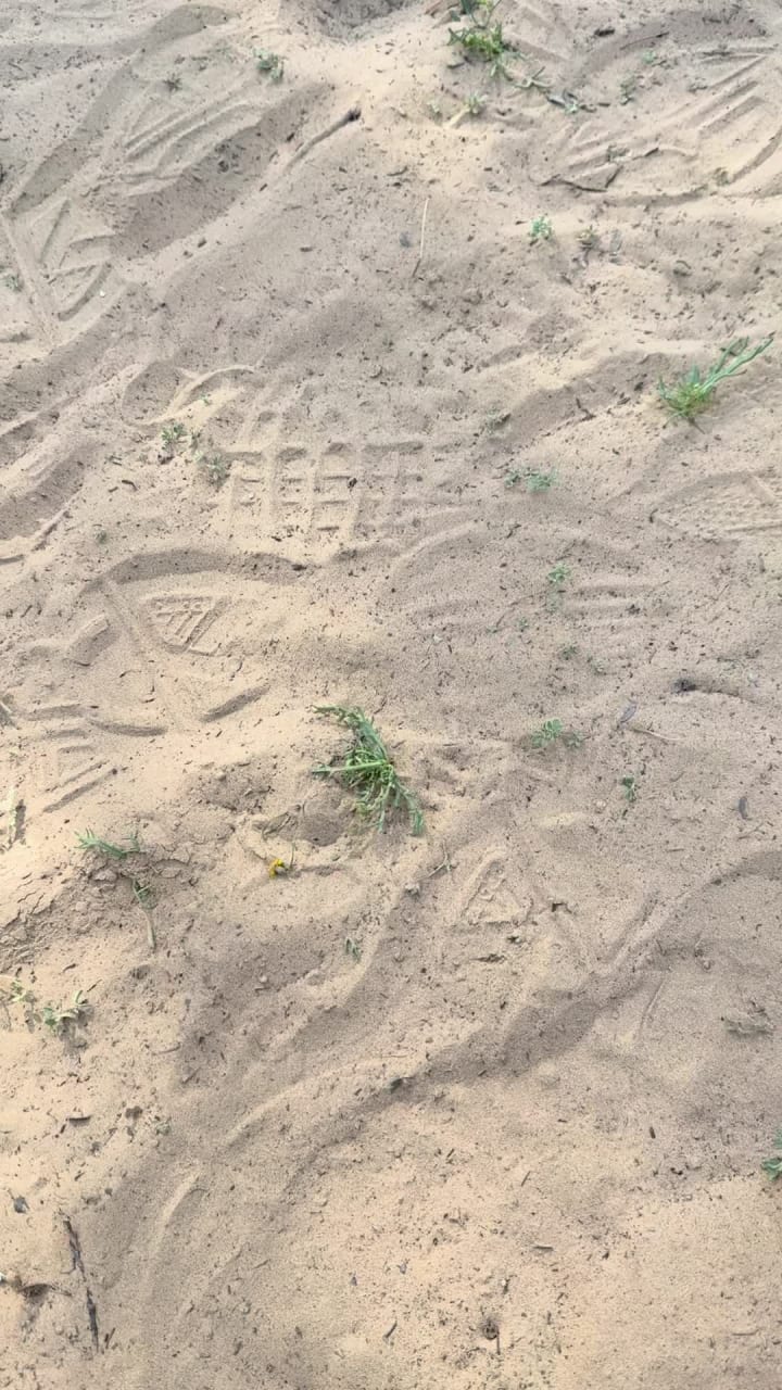 Mushrif Park (حديقة مشرف)