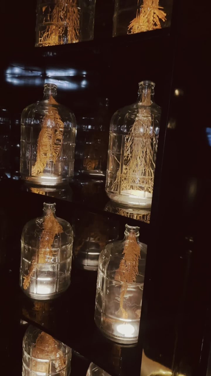 Video review of Bottled in Bond Cocktail Parlour \u0026 Kitchen