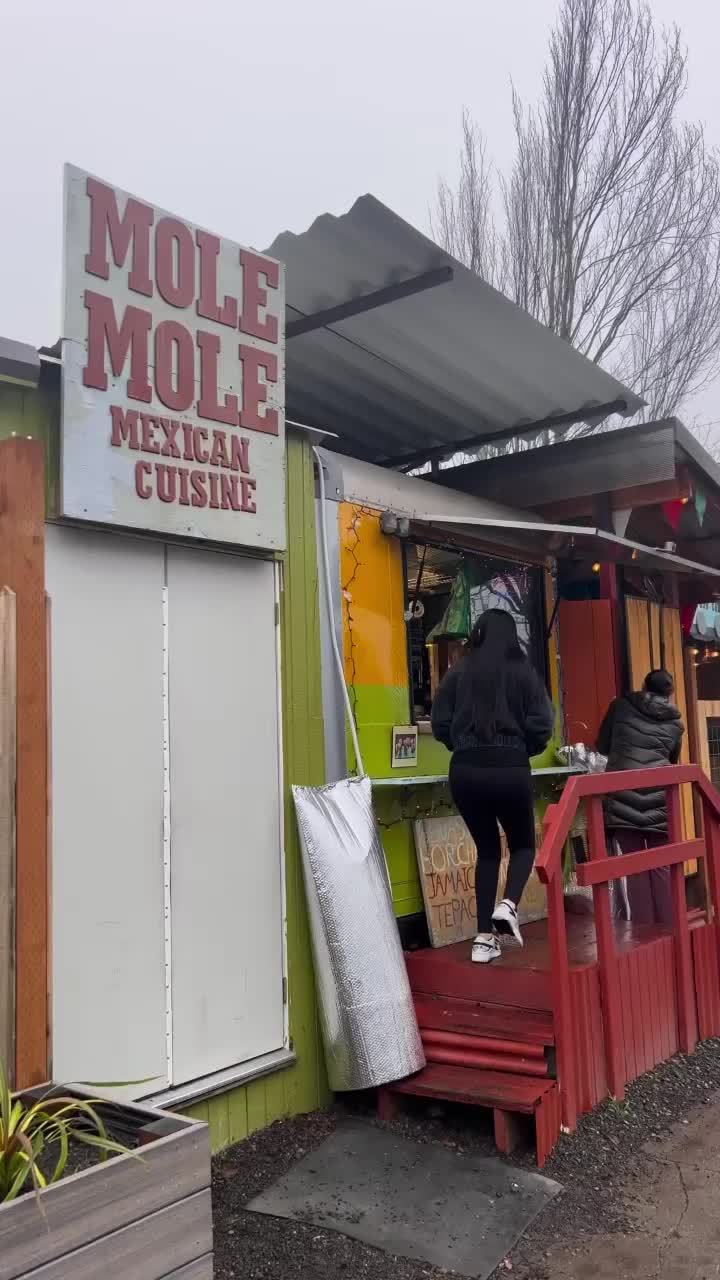 Video review of Mole Mole