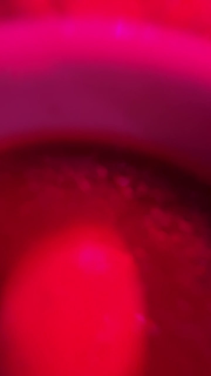 Nate's Seafood & Steakhouse