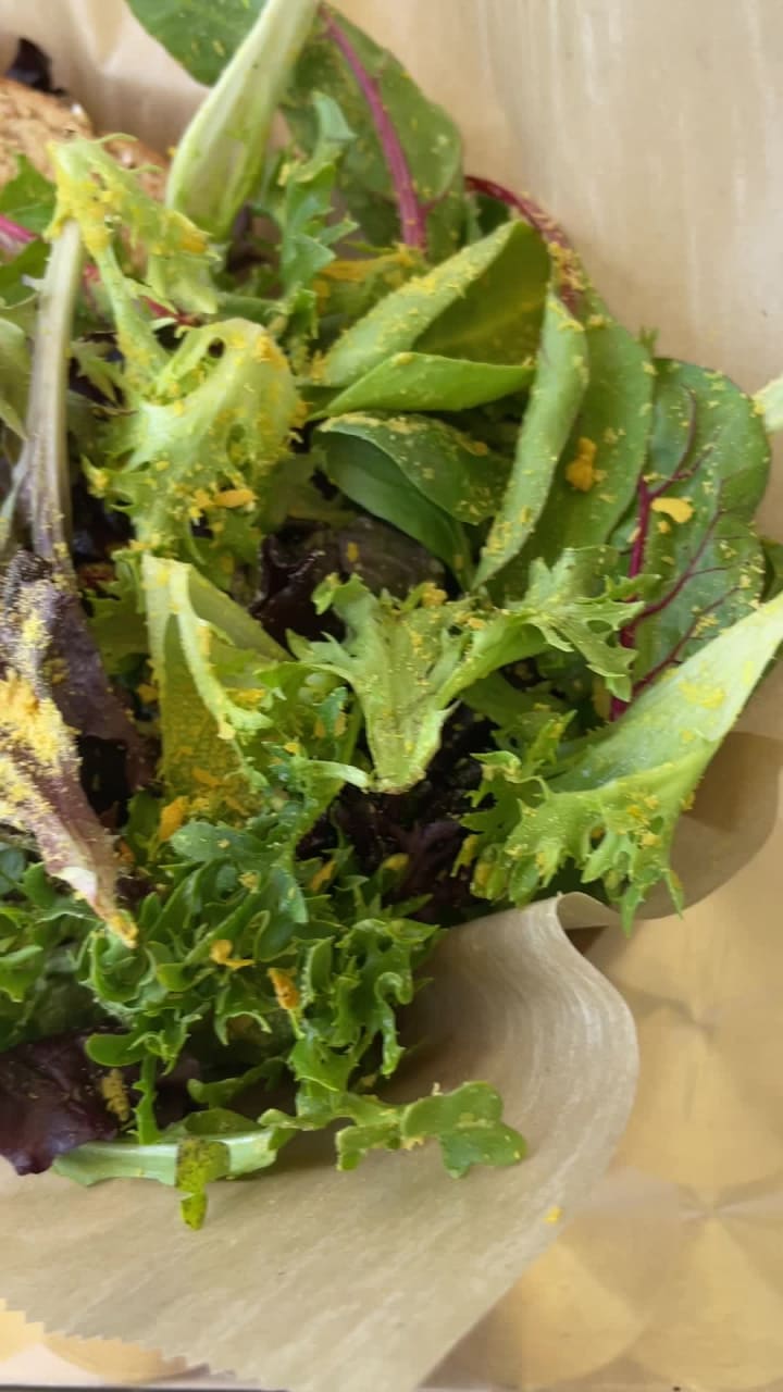 Seed To Table Vegan Eatery