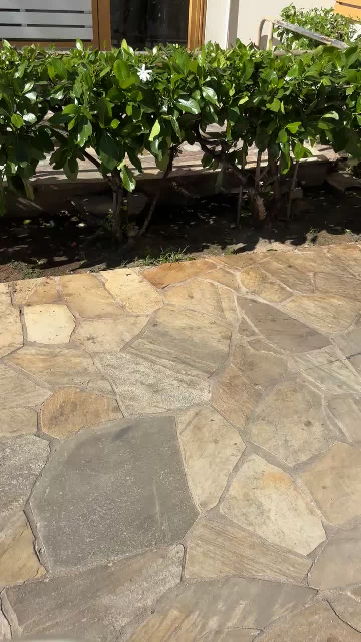 Video review of Poké Bar