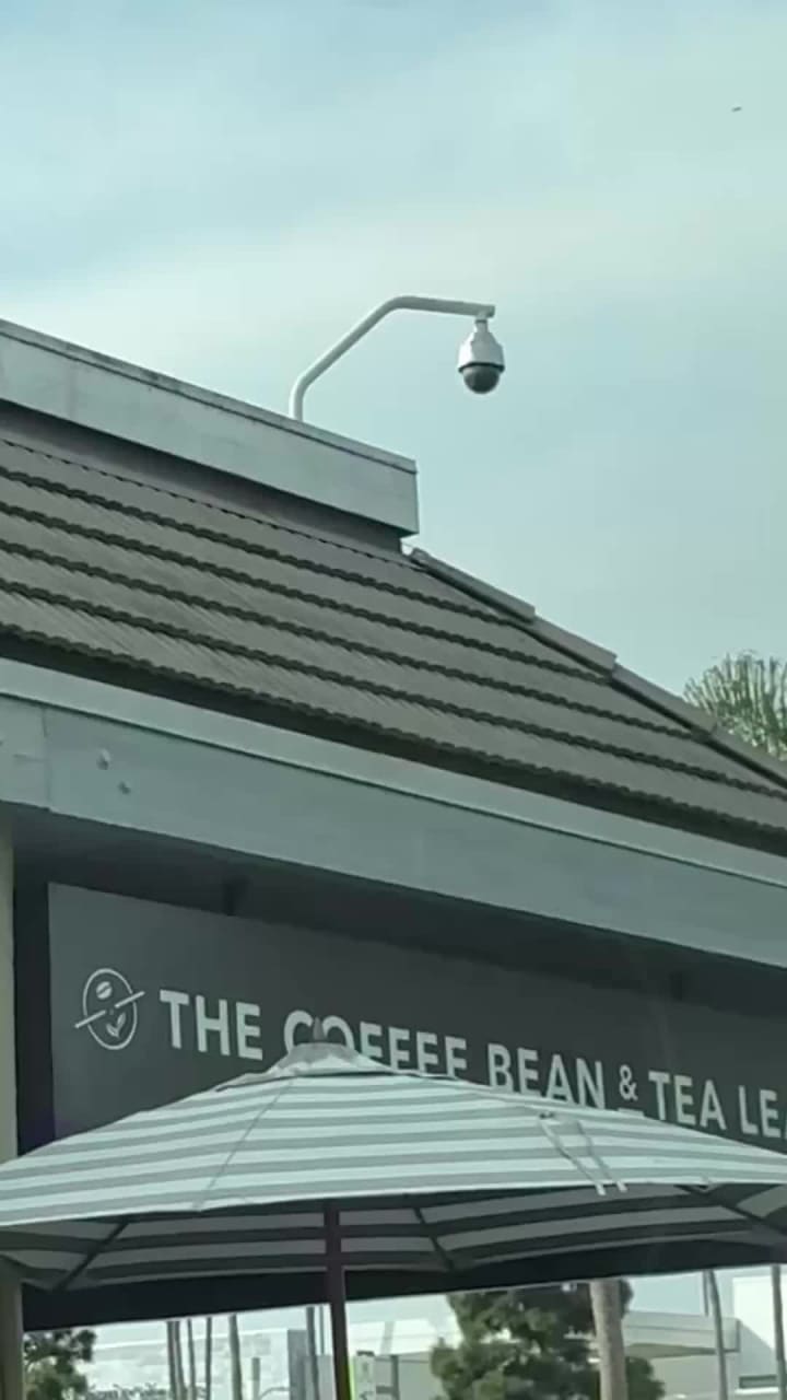 Video review of The Coffee Bean & Tea Leaf