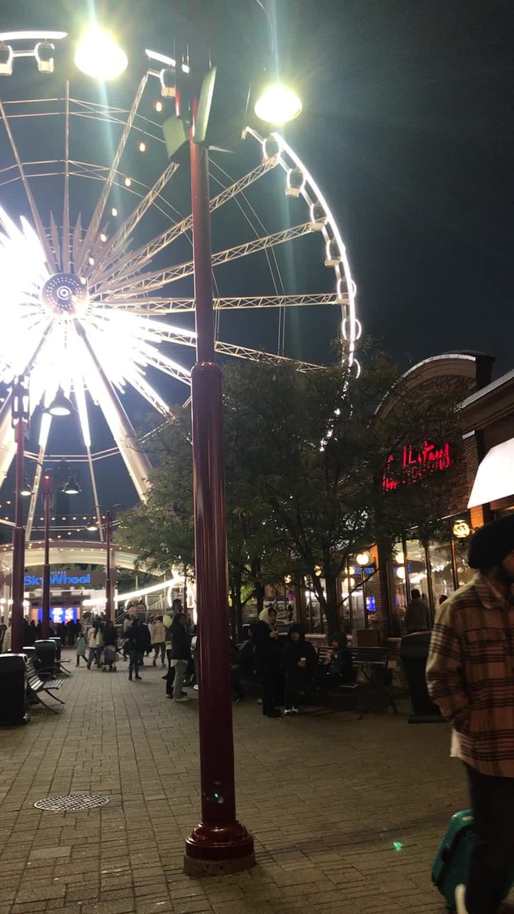 Video review of Niagara Falls State Park