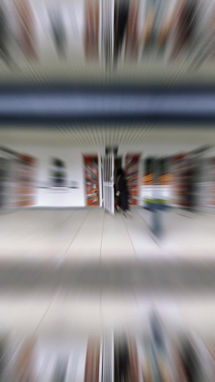 Cat Cafe South Africa