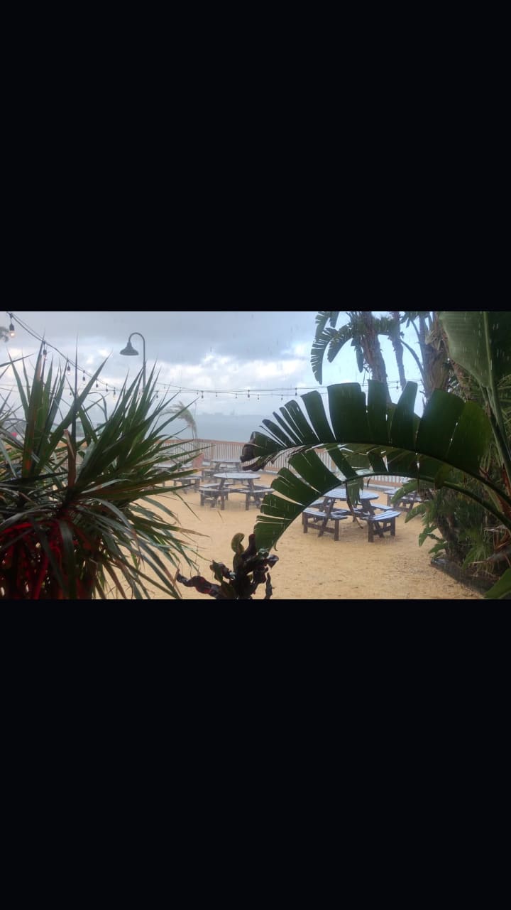 Video review of Conchy Joe's Seafood