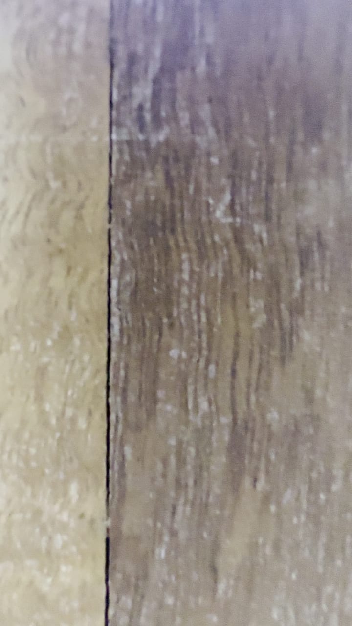 Secrets Impression Moxché