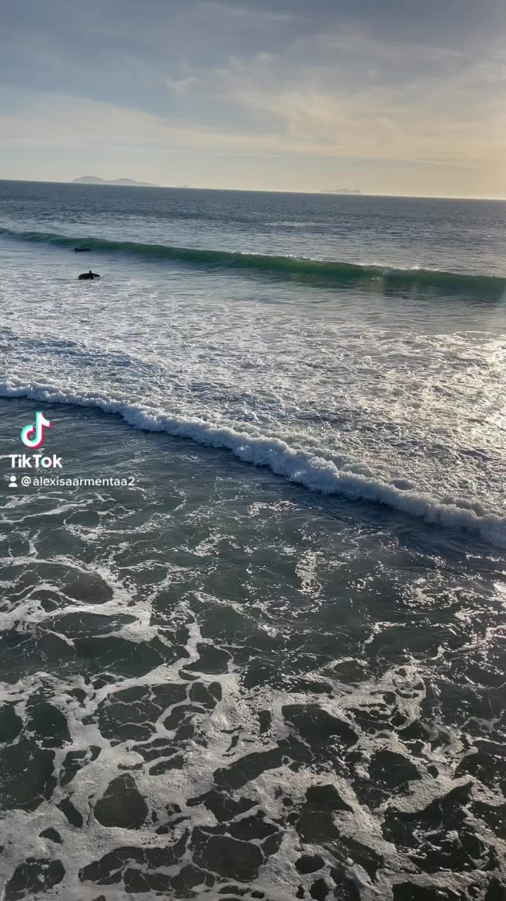 880 Harbor Island Dr C Level