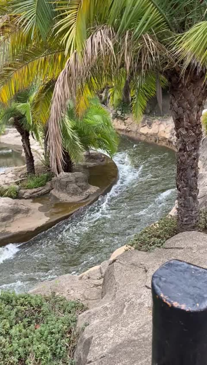 Gold Reef City Casino and Hotel