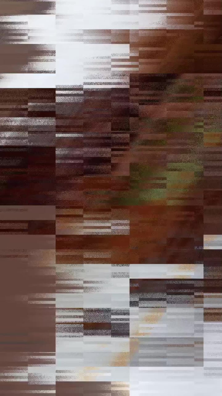 Kashmir Trout (Rainawari)