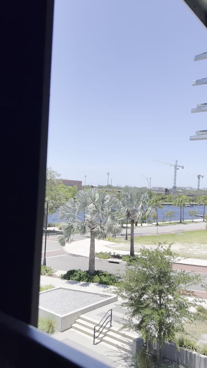 Video review of M.Bird