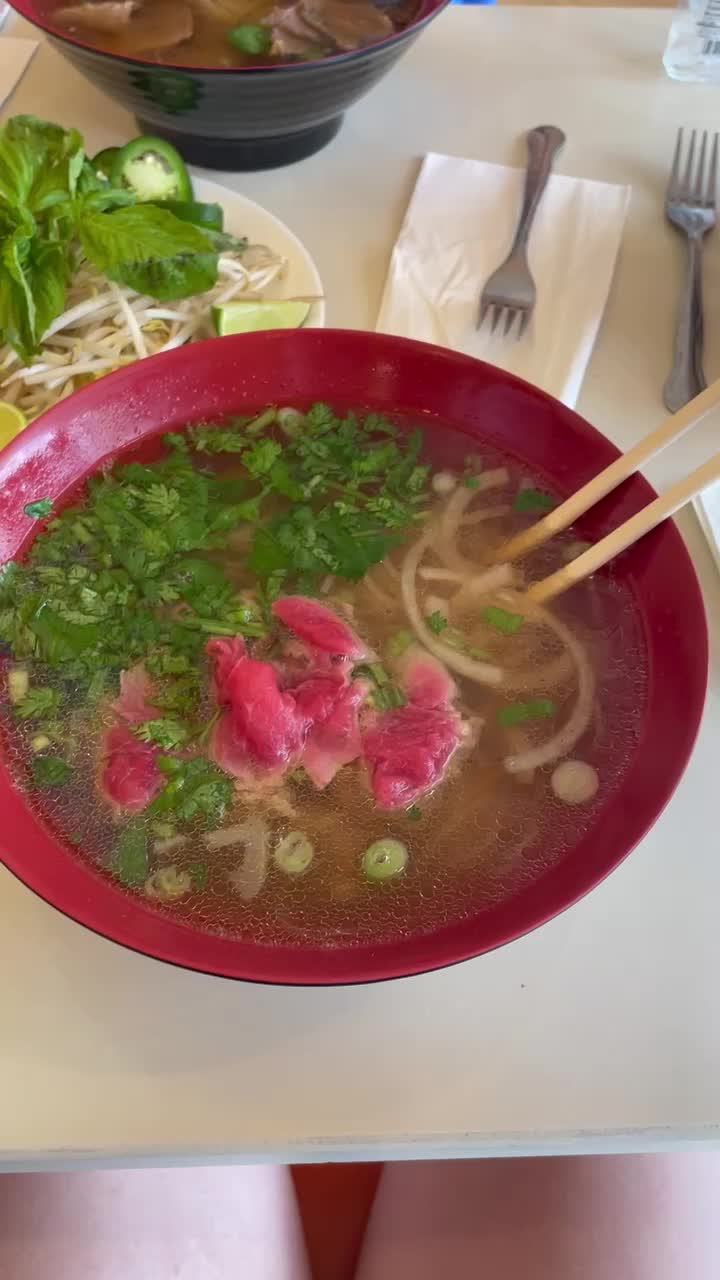 Video review of PhoMi2Go