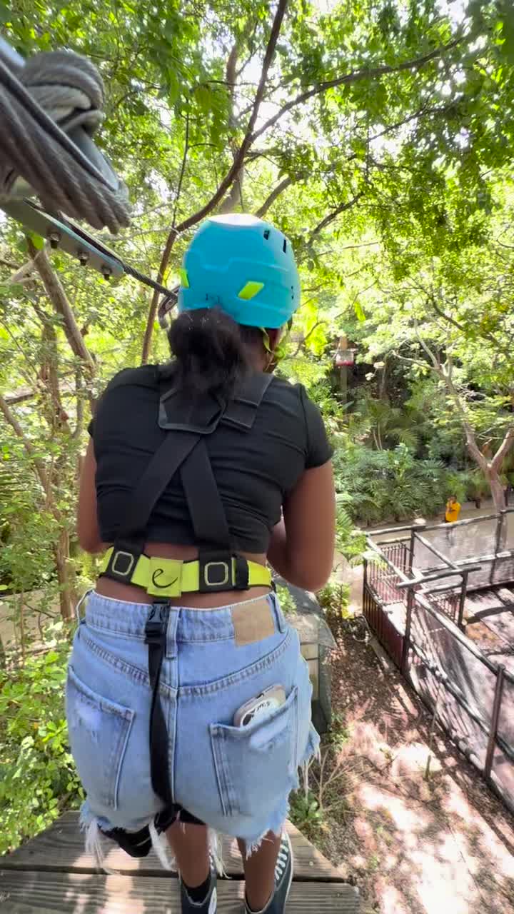 Treetop Trekking Miami