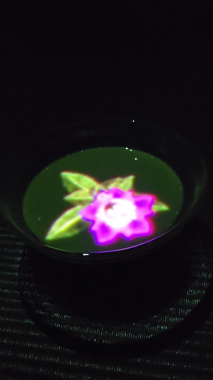 teamLab Borderless (チームラボボーダレス)