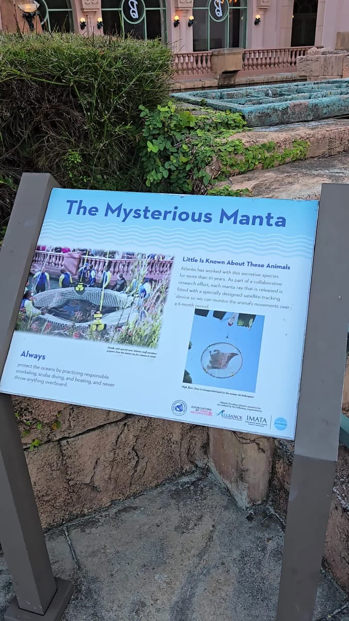 Video review of Atlantis Paradise Island