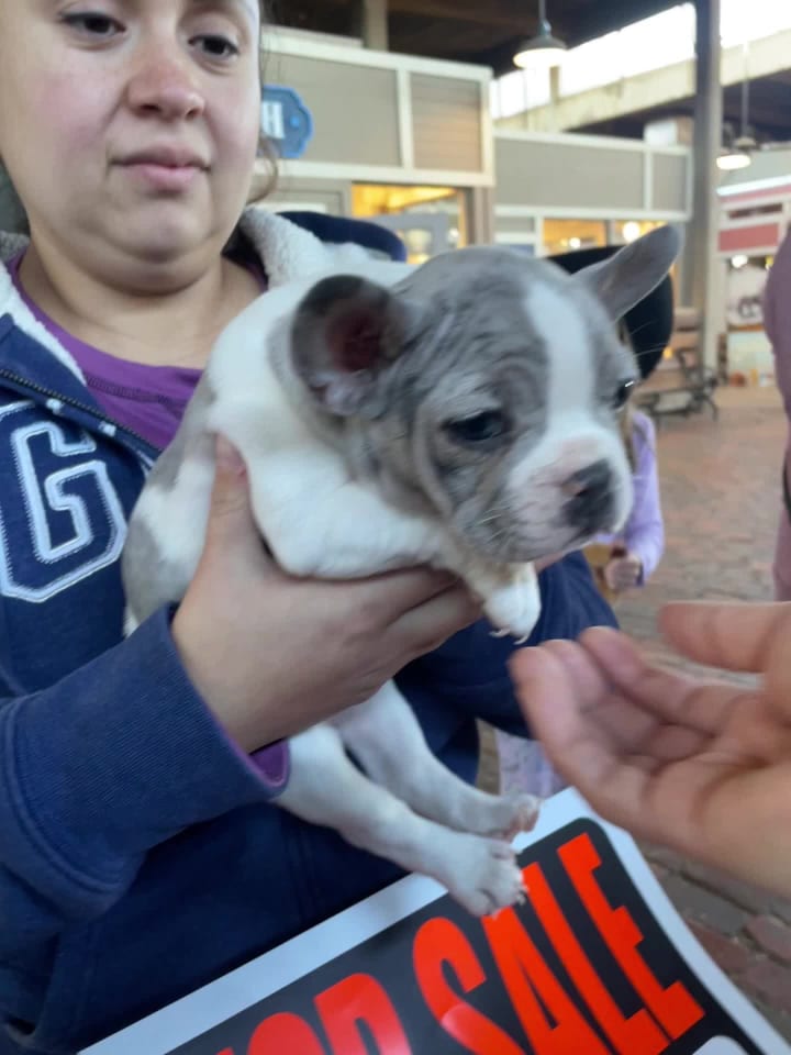 Stockyards Fort Worth