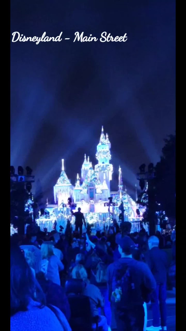 Disneyland Resort