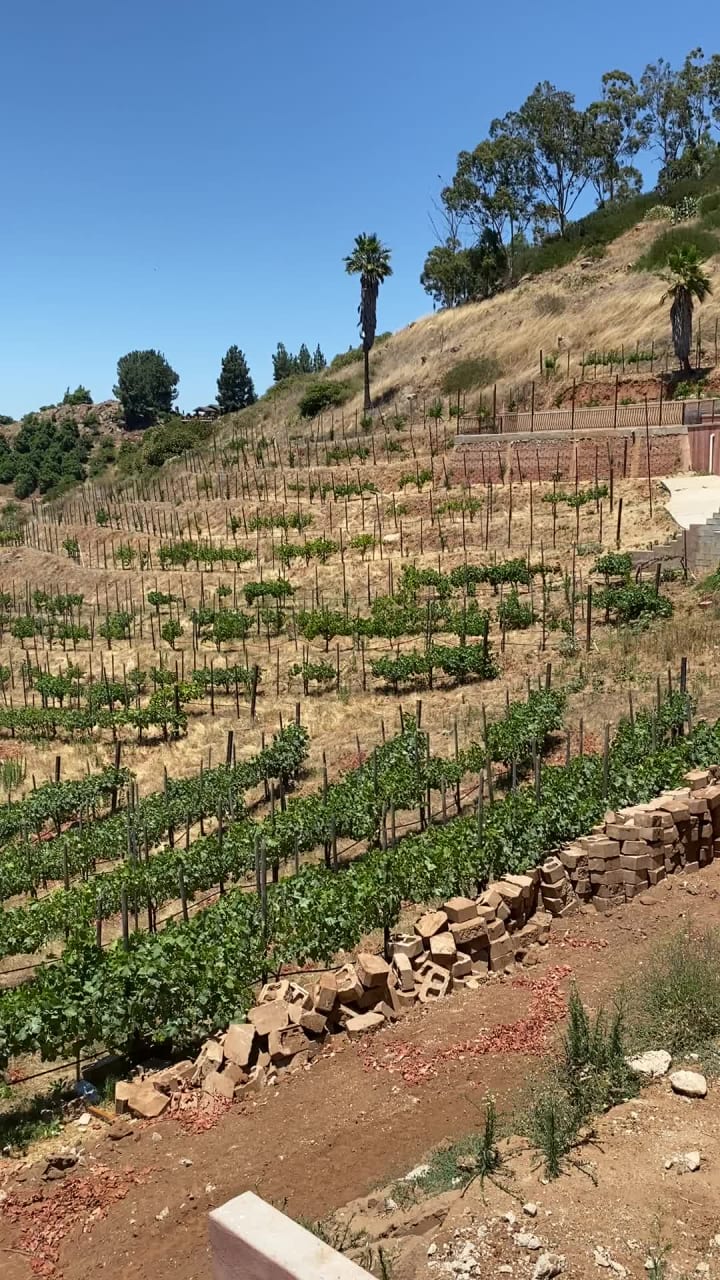 Video review of Cordiano Winery